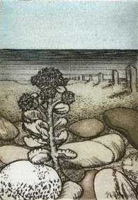 etchings